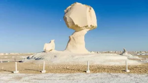 white-desert