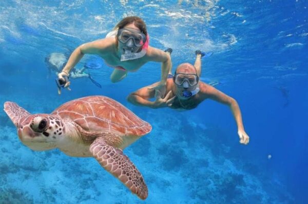 897522405 snorkeling at Hamata Island