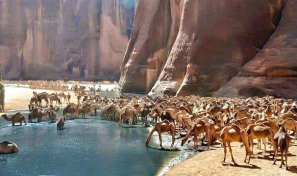 Wadi El Gemal 840x500 3951